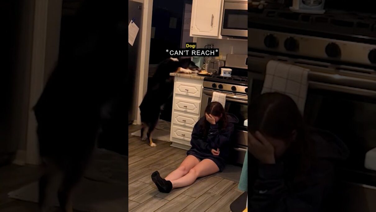 the dog SAVED her 🥹❤️