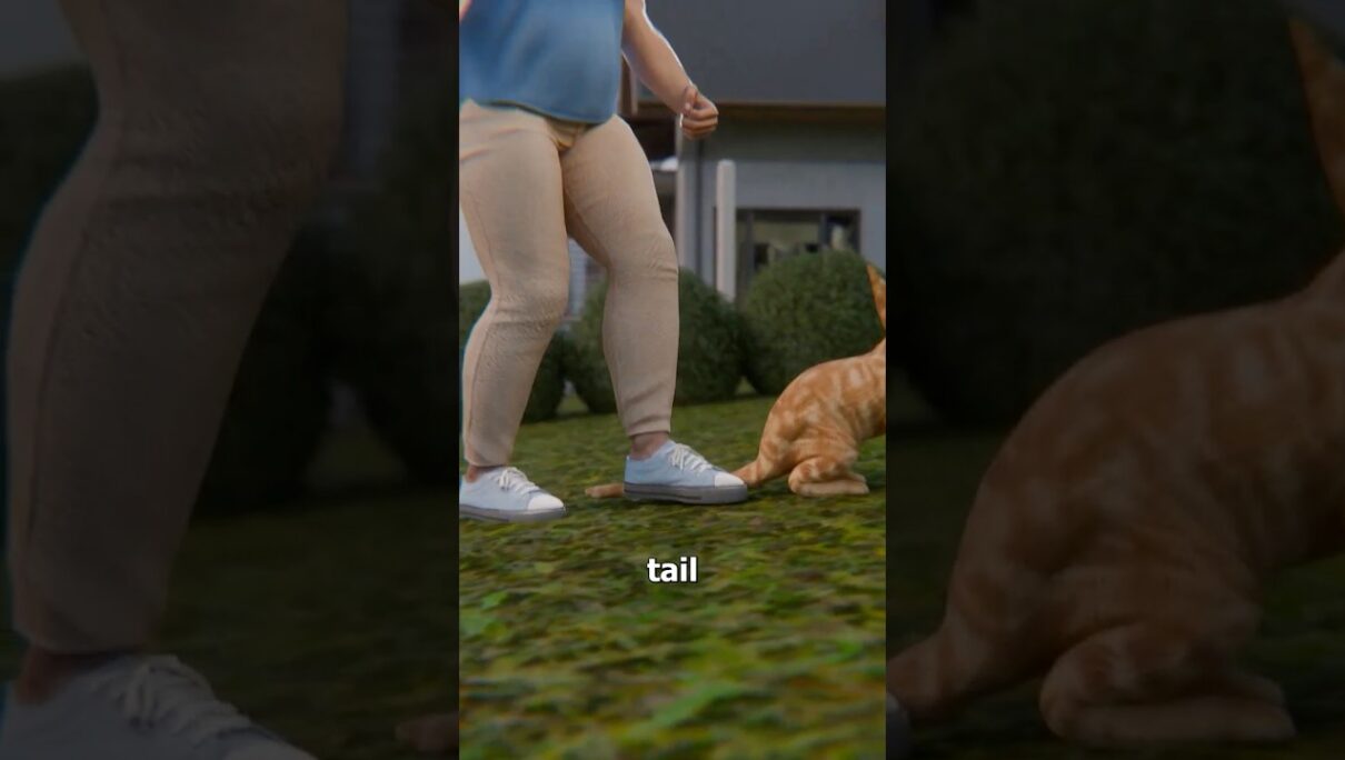 He Stomped On My Cat’s Tail 😤