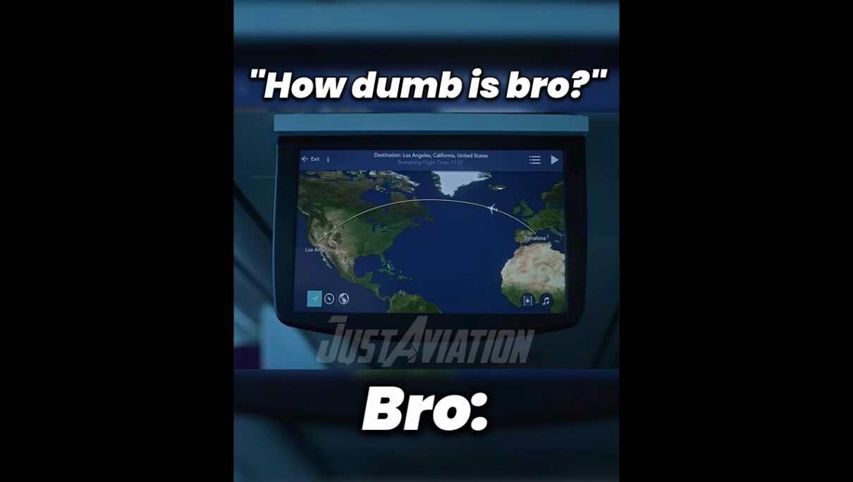 That one bro: 🧠💥