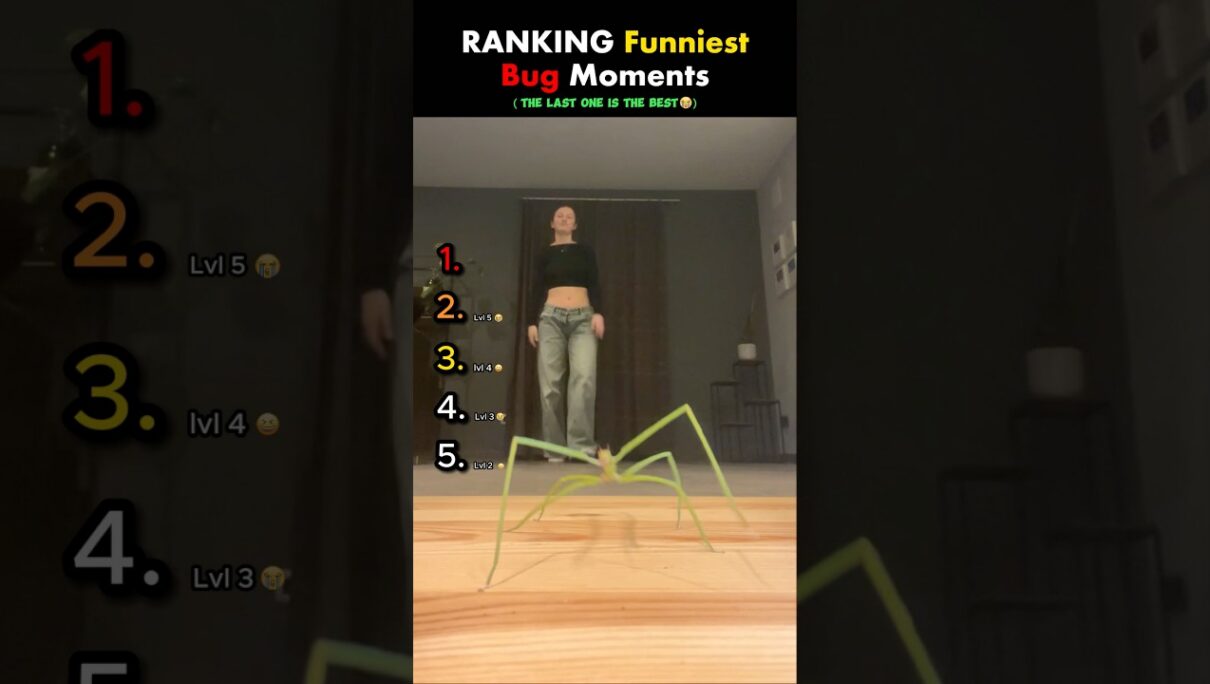 Ranking Funniest Bug Moments. Pt.2 #usa